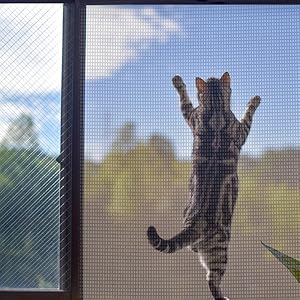 Pet-resistant replacement mesh